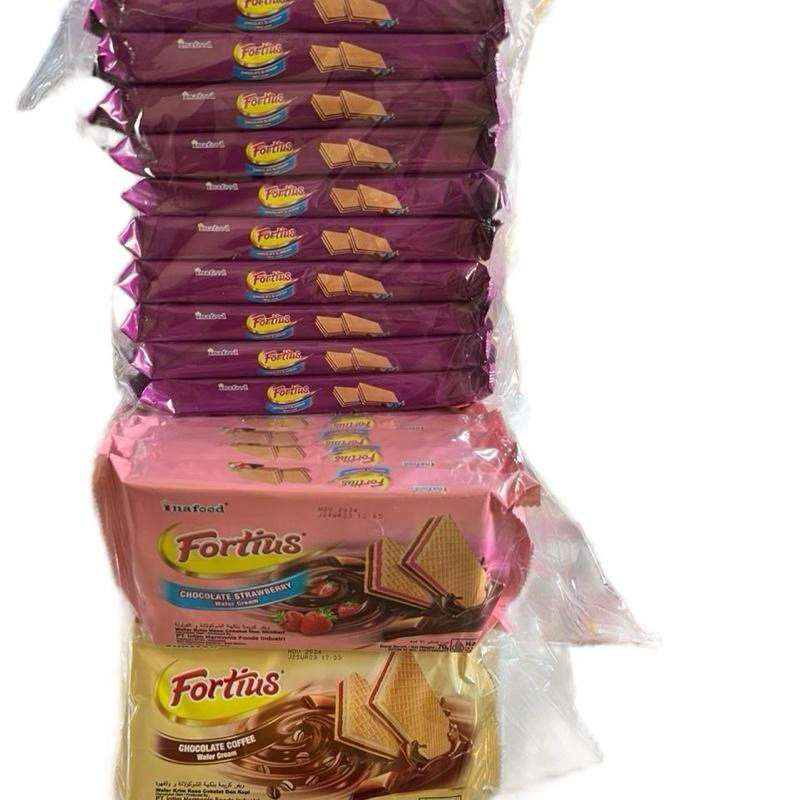 

10 PCS WAFER FORTIUS 70gr