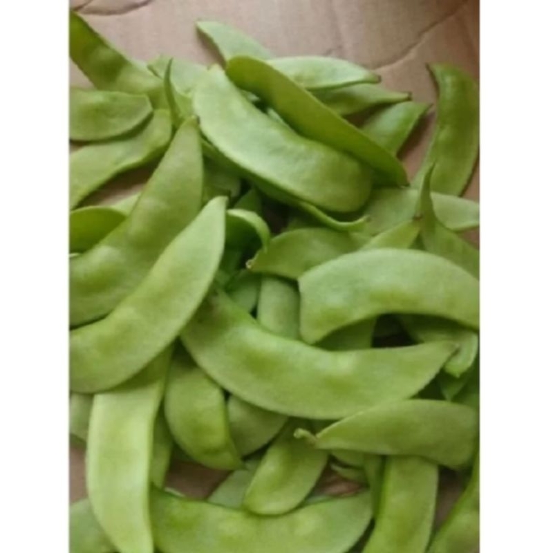 

sayur kacang kratok/roay 100gram