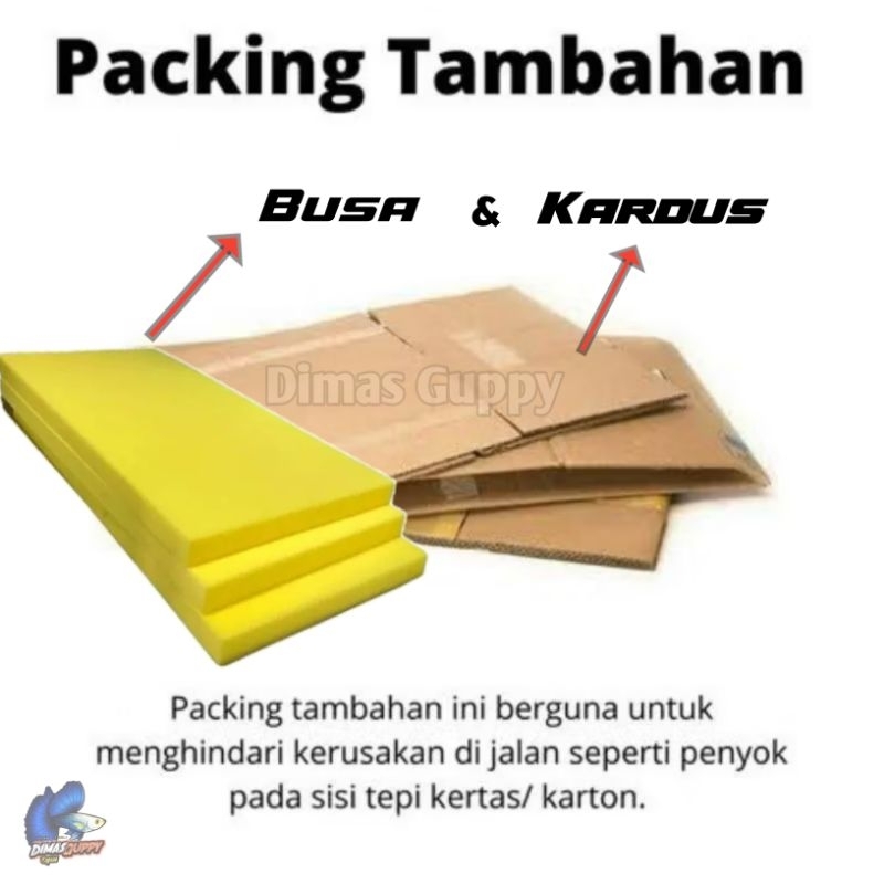 

EXTRA PACKING TAMBAHAN