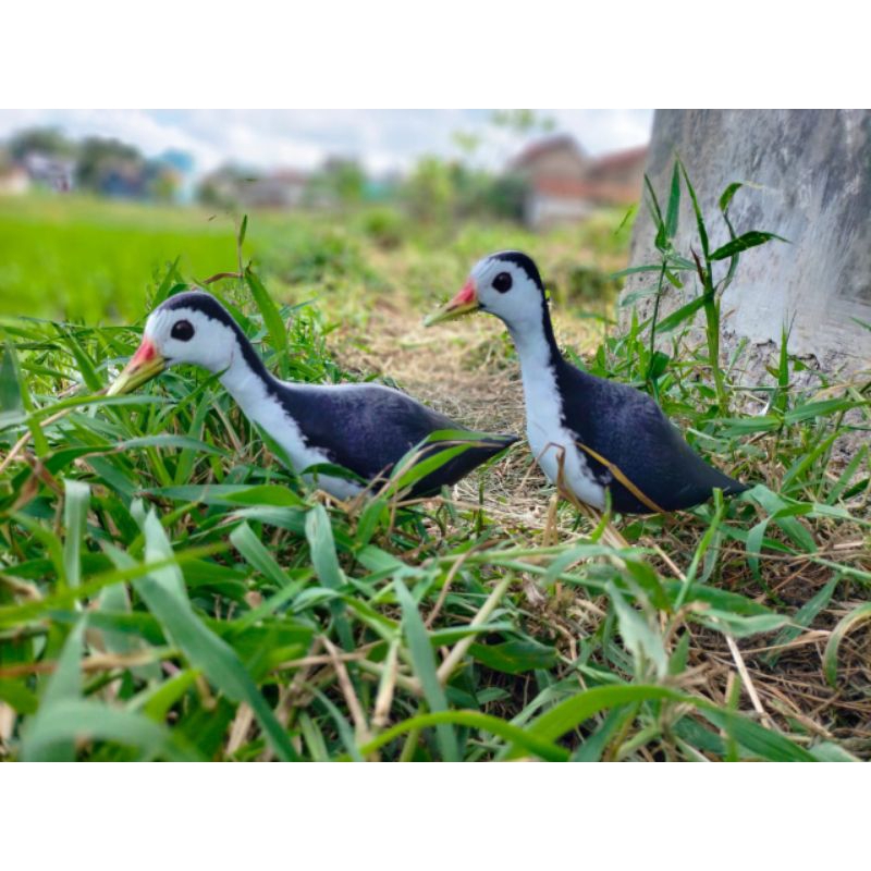 PATUNG JONTROT RUAK RUAK / KAREO PADI MIRIP ASLI - PATUNG RUAK RUAK - JONTROT KAREO