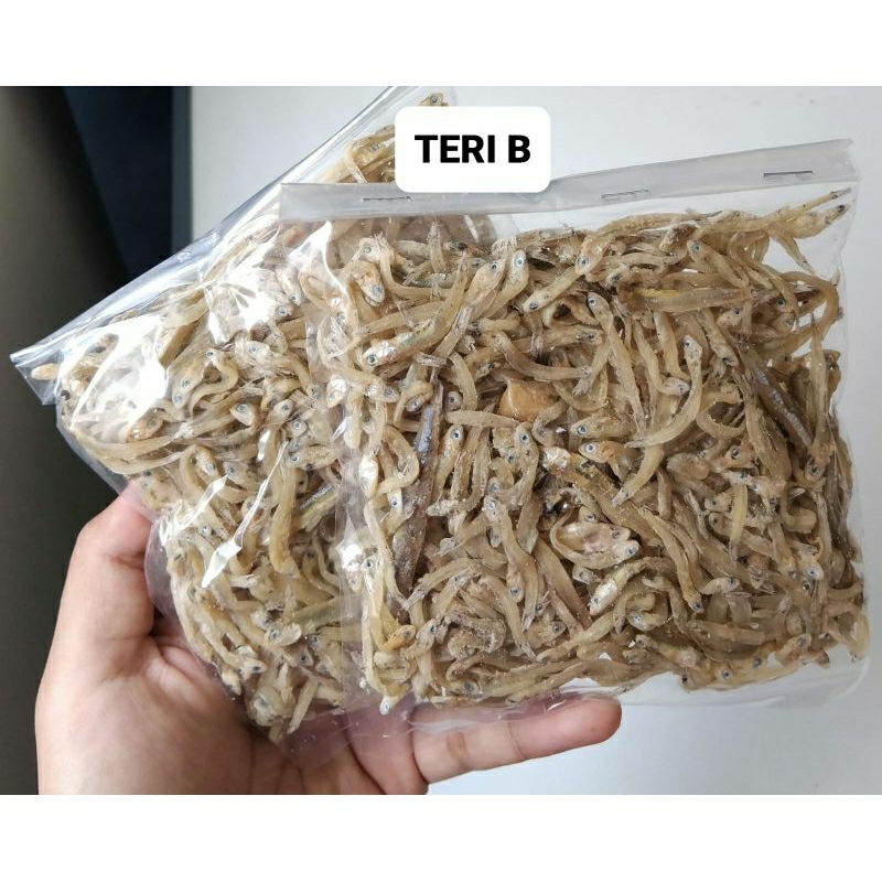 

TERI B