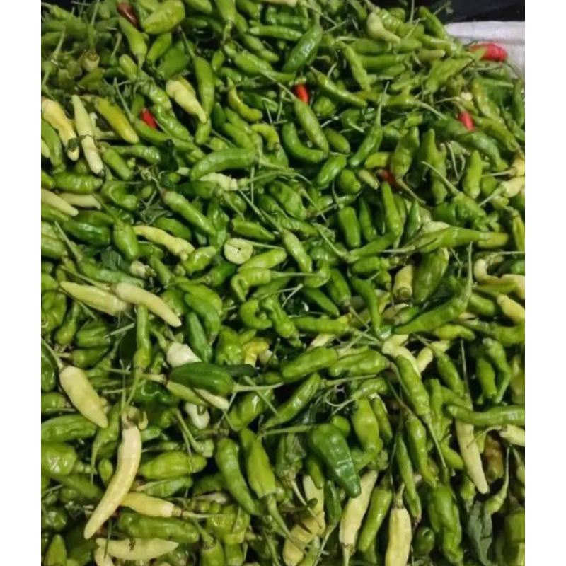 

cabai hijau segar 100 gram