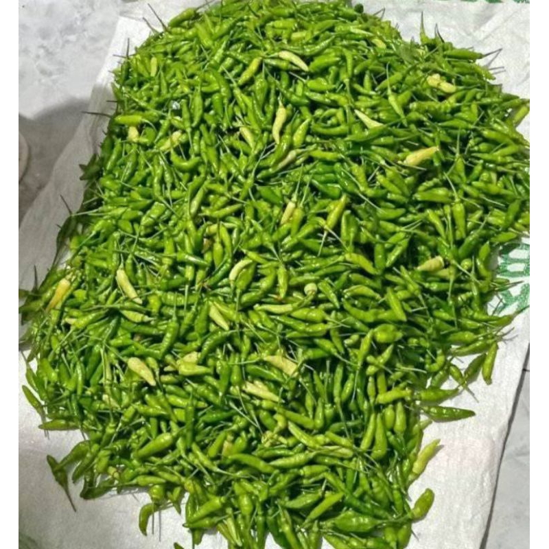 

cabai hijau segar 250gram