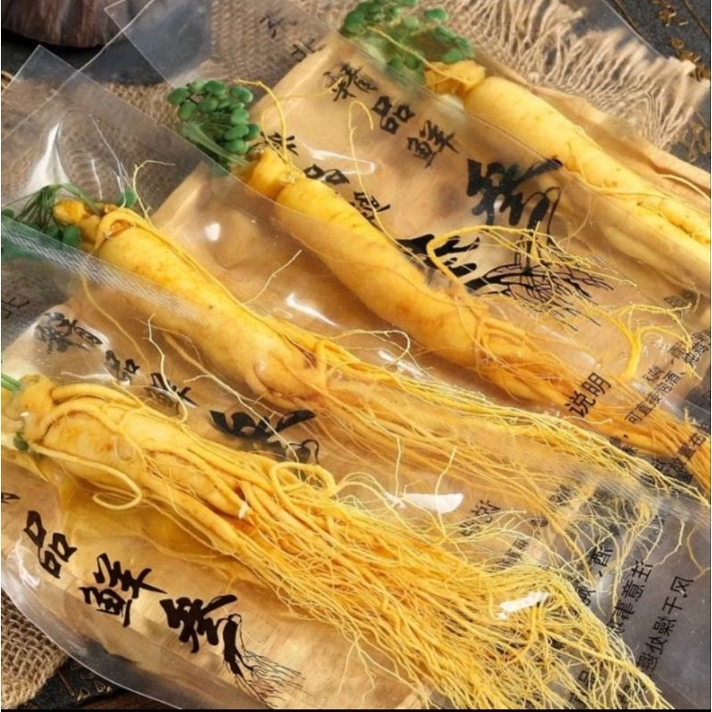 

(100g) Ginseng fres asli gunung changbai fresh kemasan vakum jaminan segar /ginseng segar/