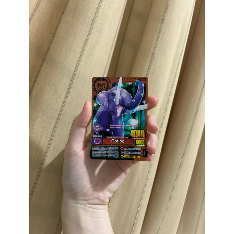 (ORI) kartu animal kaiser
