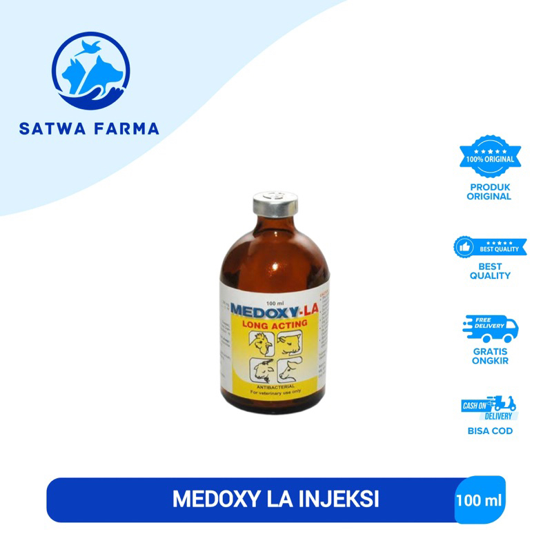 MEDOXY LA Antibakteri Untuk Sapi Kambing Domba Kerbau