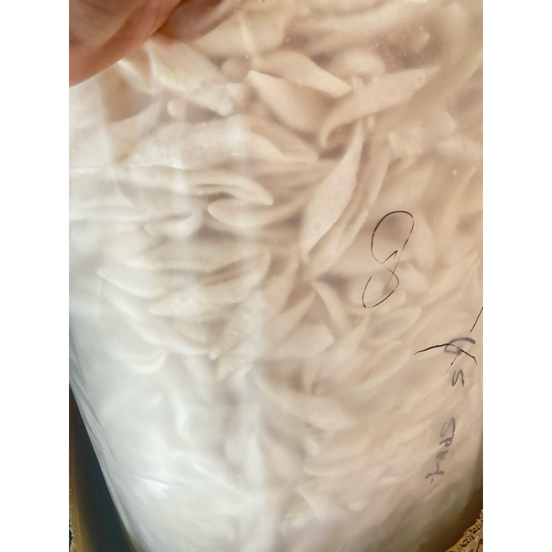 

kerupuk buncis khas palembang