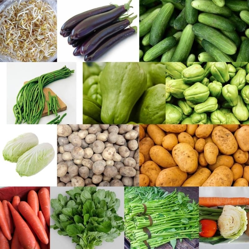 

Aneka Sayuran Paket 5rb