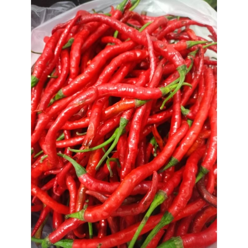 

Cabe Merah Keriting Segar Per 250gram