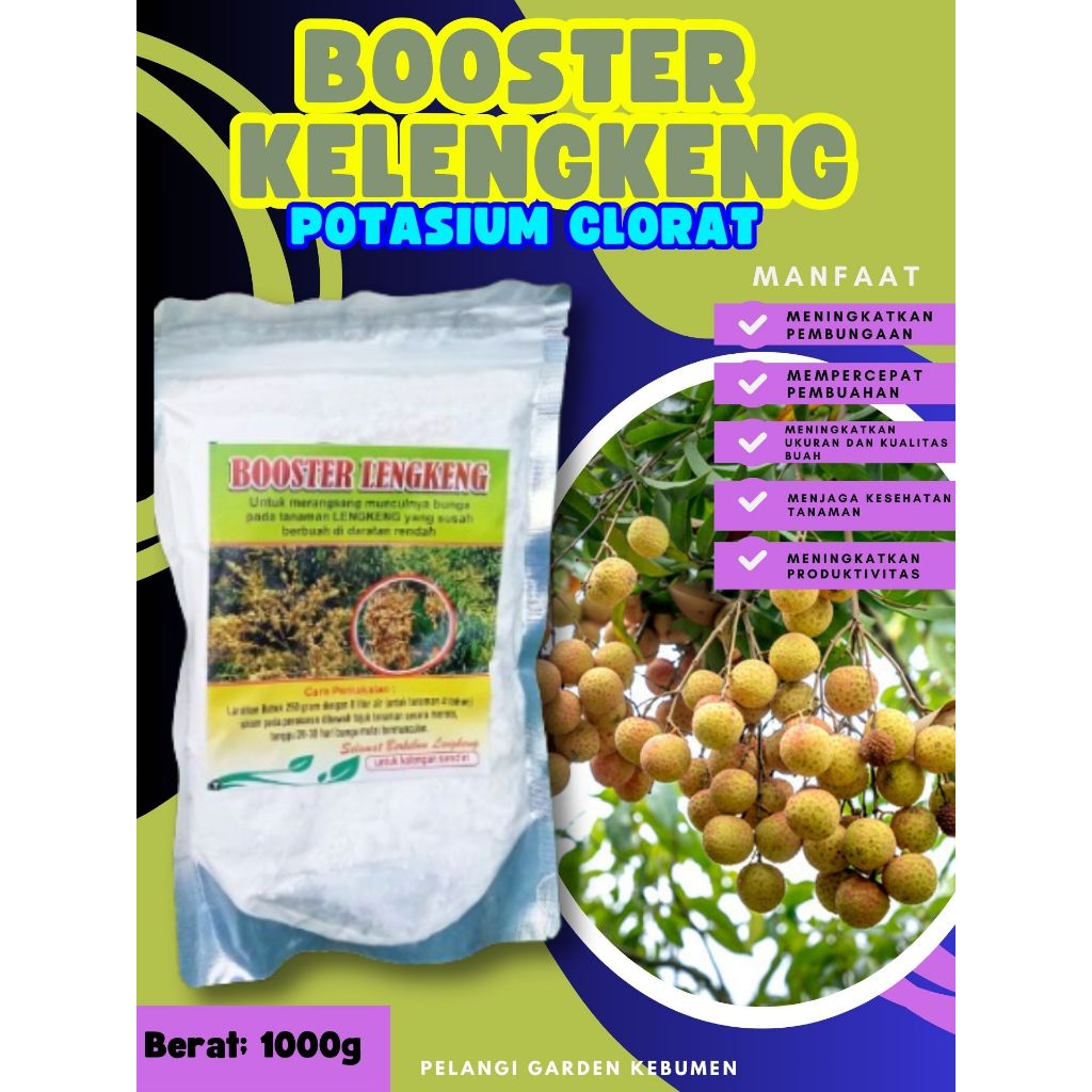 DIJAMIN ASLI  Booster Kelengkeng Kcl03, Booster Kelengkeng Kclo 3 Murni, Booster Kelengkeng Kclo 3