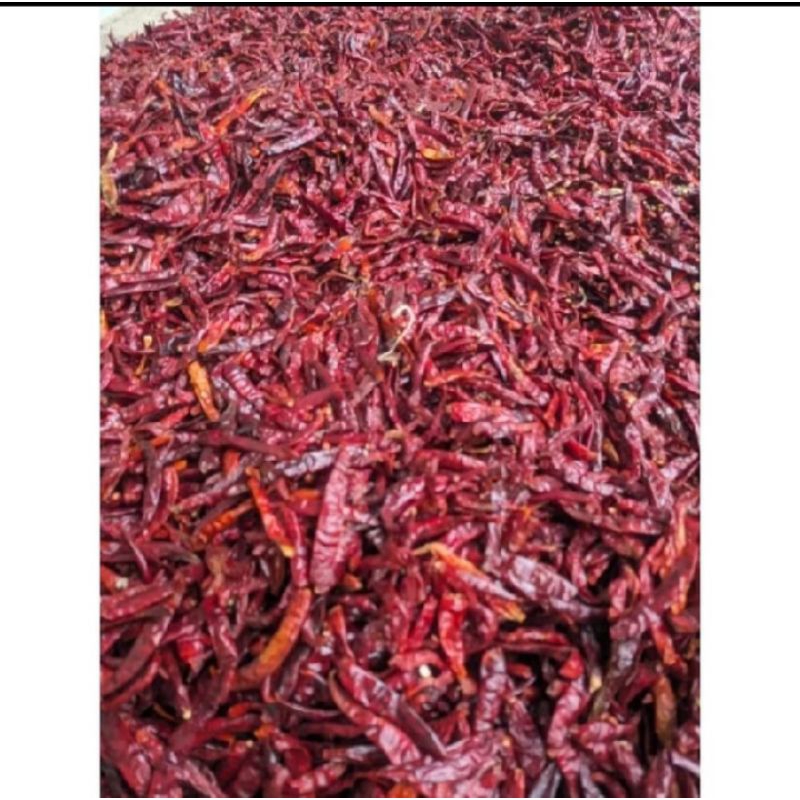 

cabai kering berkualitas 250gr
