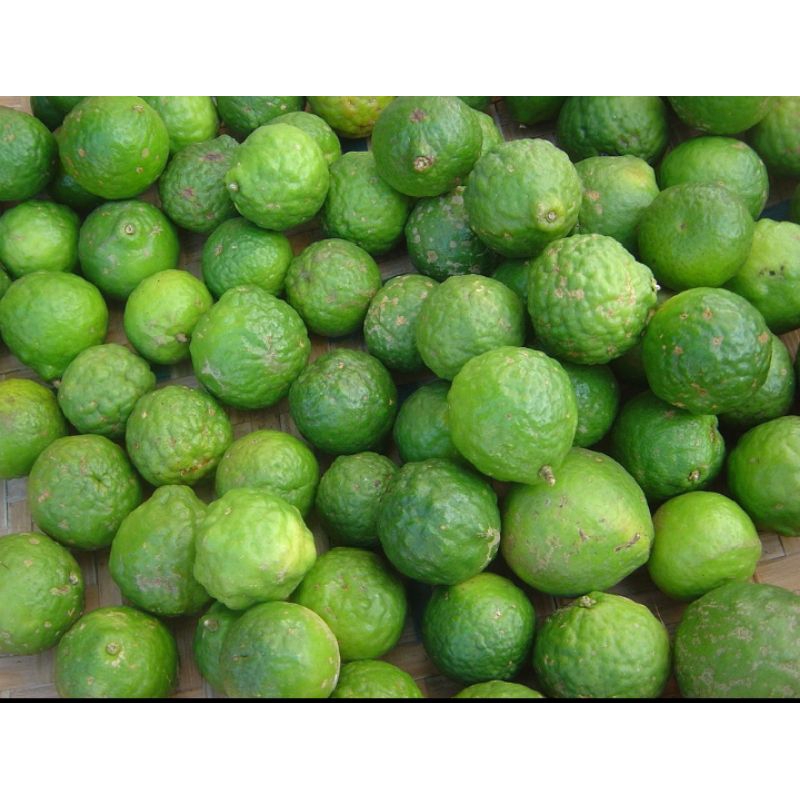 

jeruk limau/jeruk sambal 100g