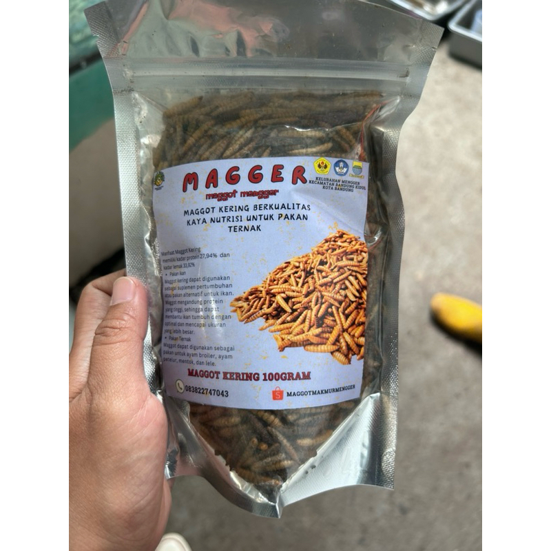 Maggot Kering Pakan ikan hias