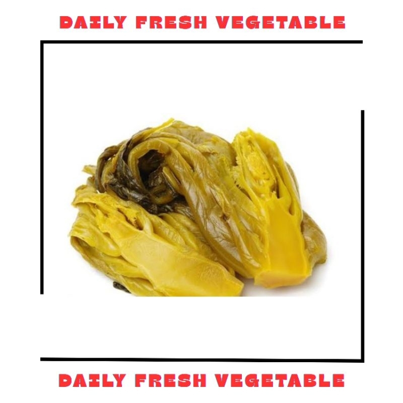 

Sayur Asin Fresh 1 Pcs