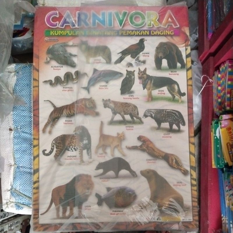 Poster Kumpulan Hewan Pemakan Daging