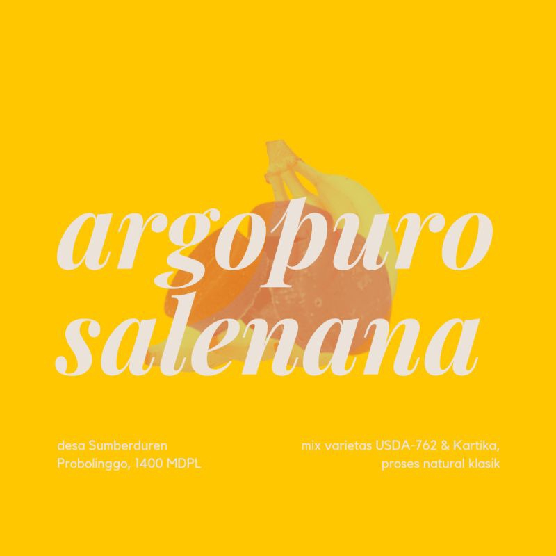 

Arabika Argopuro Salenana | Natural klasik | pisang tapi bukan halu banana