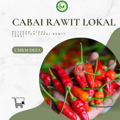 

Murah!!!! Cabai Rawit Asli dari Petani Lokal 500 gram