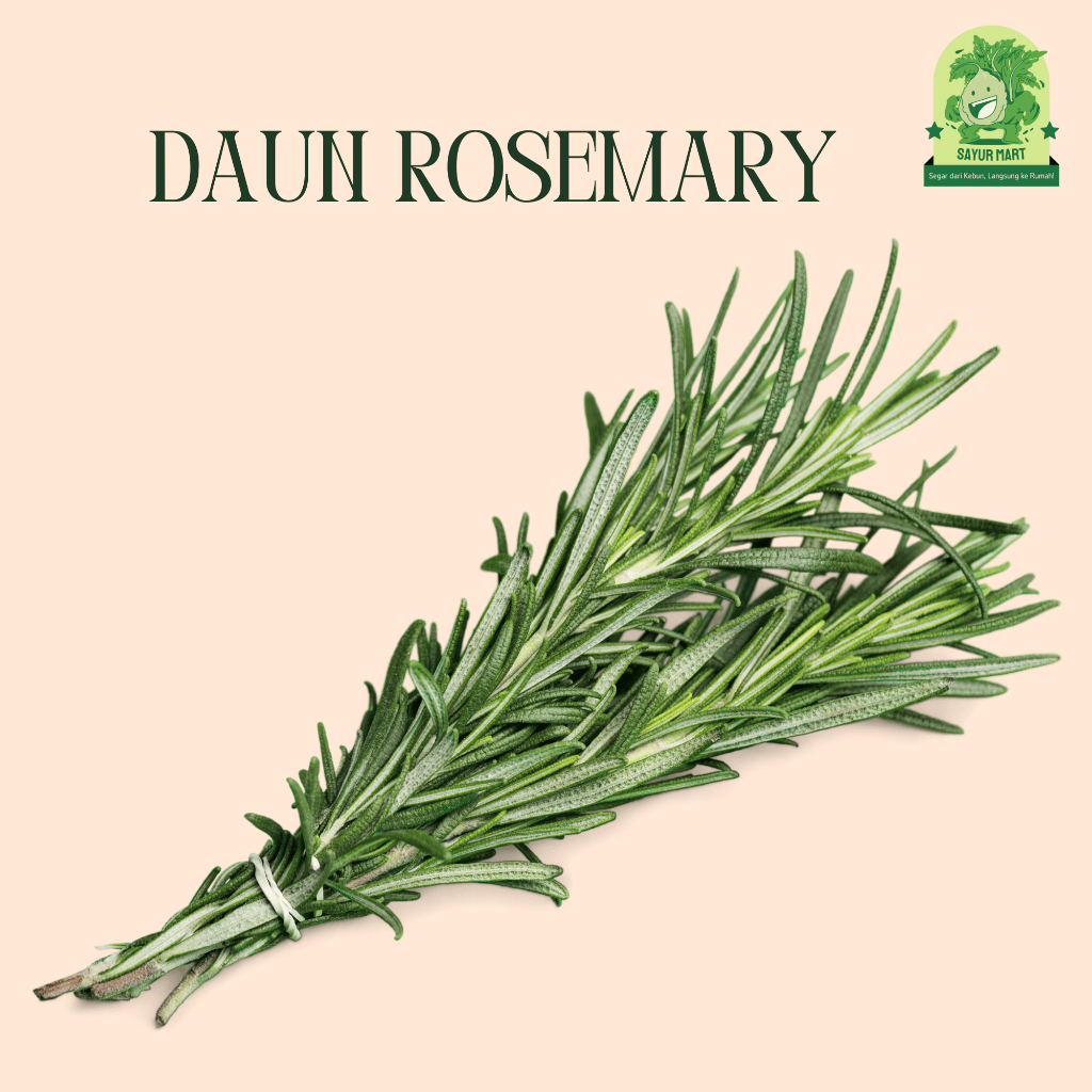 

Daun Rosemary 100 Gram