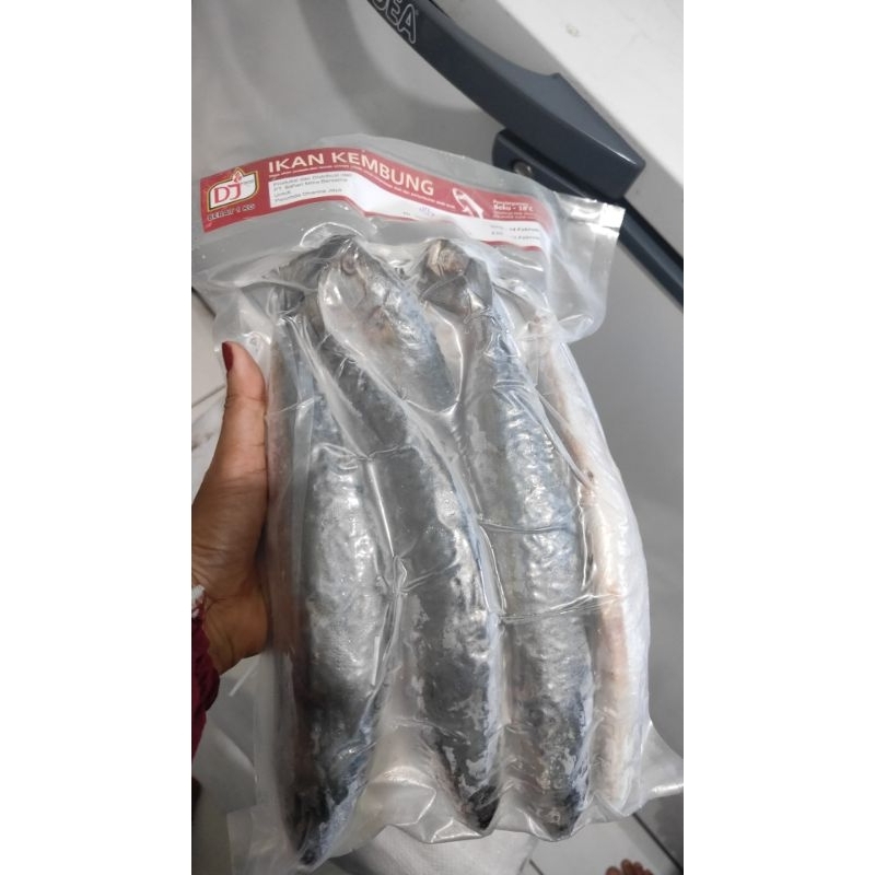 

ikan kembung banjar 1kg