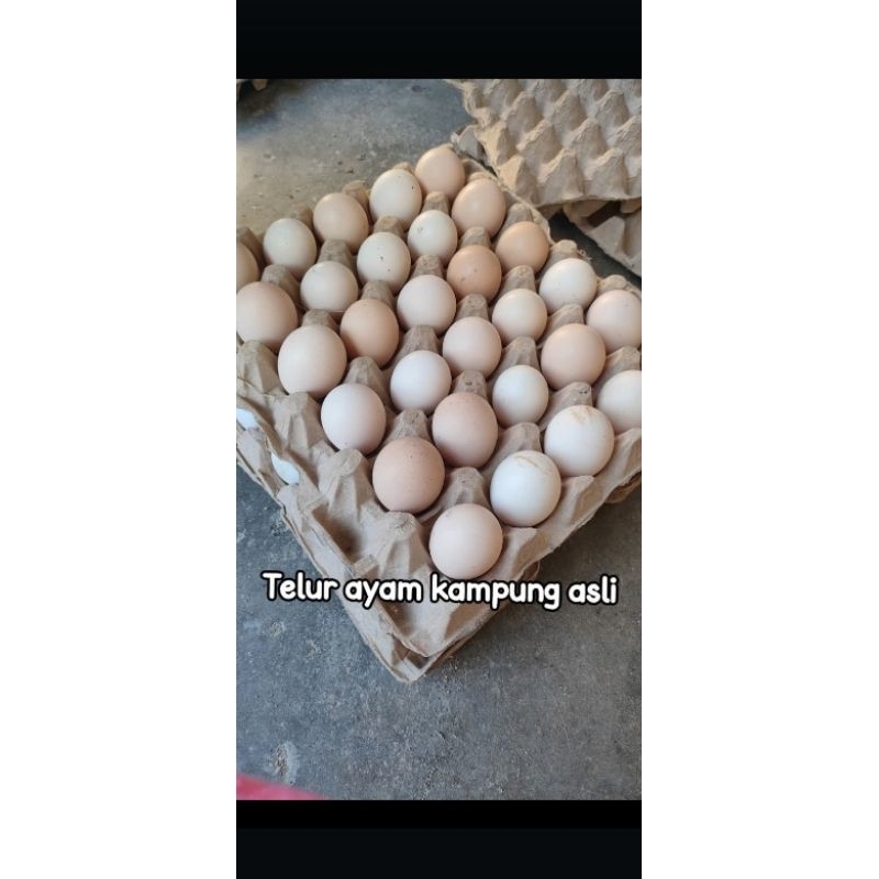 

TELUR AYAM KAMPUNG ASLI FREE BUBBLE WRAP