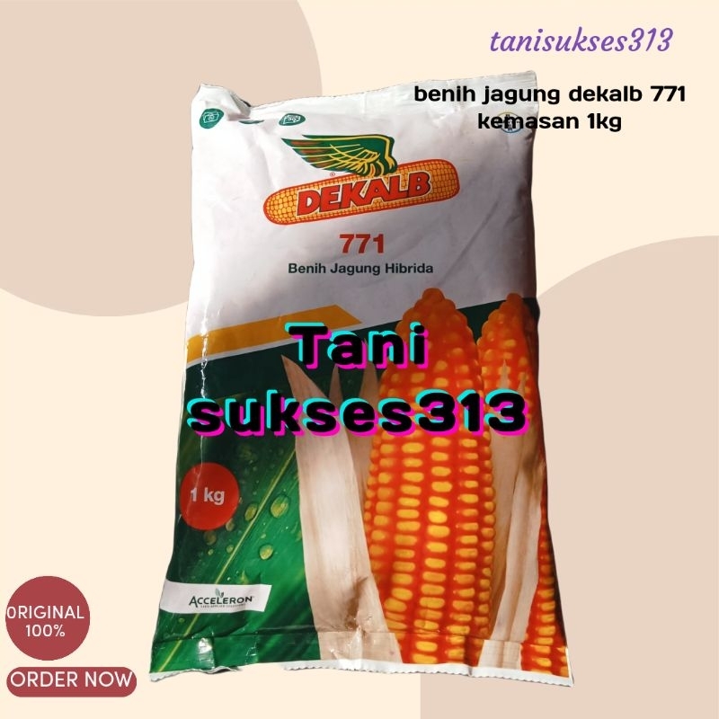 benih jagung hibrida dekalb 771 kemasan 1kg dekalb 771 1kg benih unggul