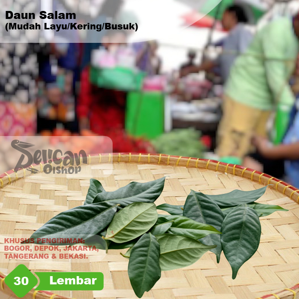 

Daun Salam Segar Per 30 Lembar Rempah Masakan Mudah Mengering Kering