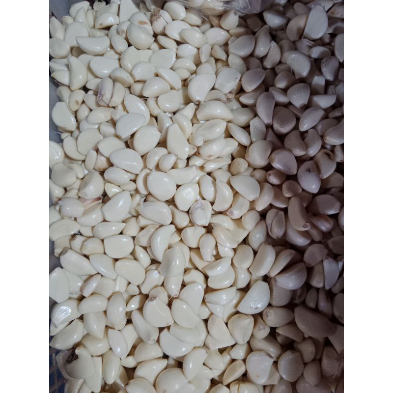 

bawang putih kipas