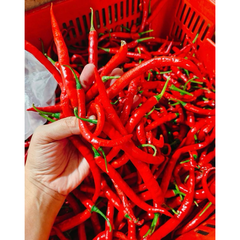 

Cabe Merah Besar 500gr