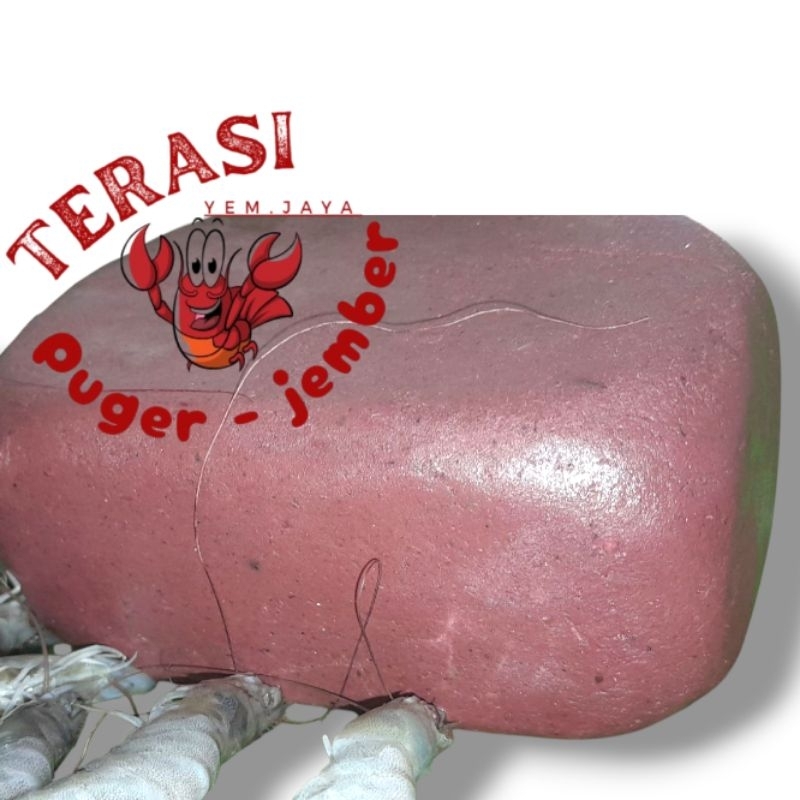 

TERASI UDANG PUGER