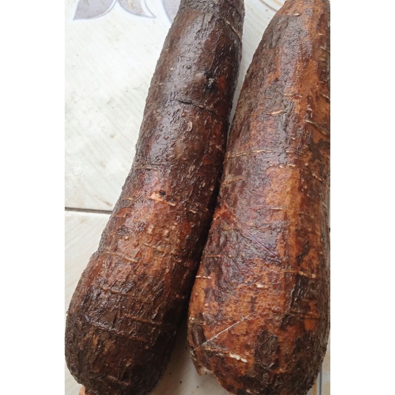

singkong mentefa segar per 500 grm