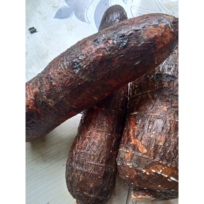 

jual singkong mentega segar paket 250 grm