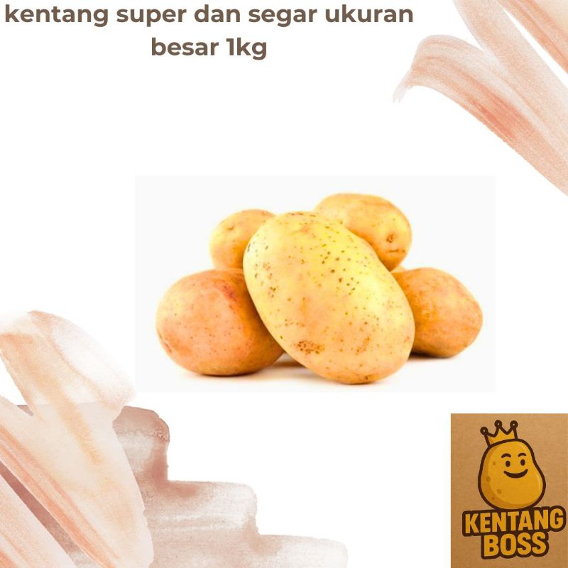 

kentang fresh dan segar ukuran besar 1 kg