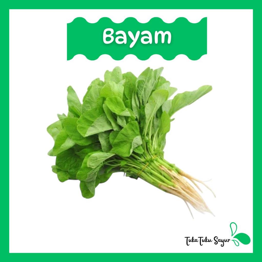 

BAYAM HIJAU SEGAR per ikat - TukaTuku Sayur