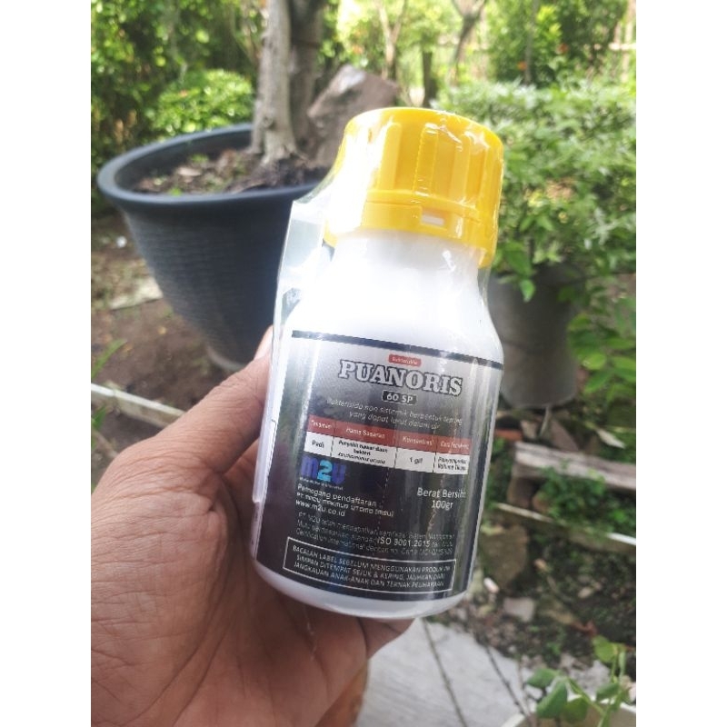 PUANORIS 60SP BAKTERISIDA FUNGISIDA PESTISIDA Tanaman Padi