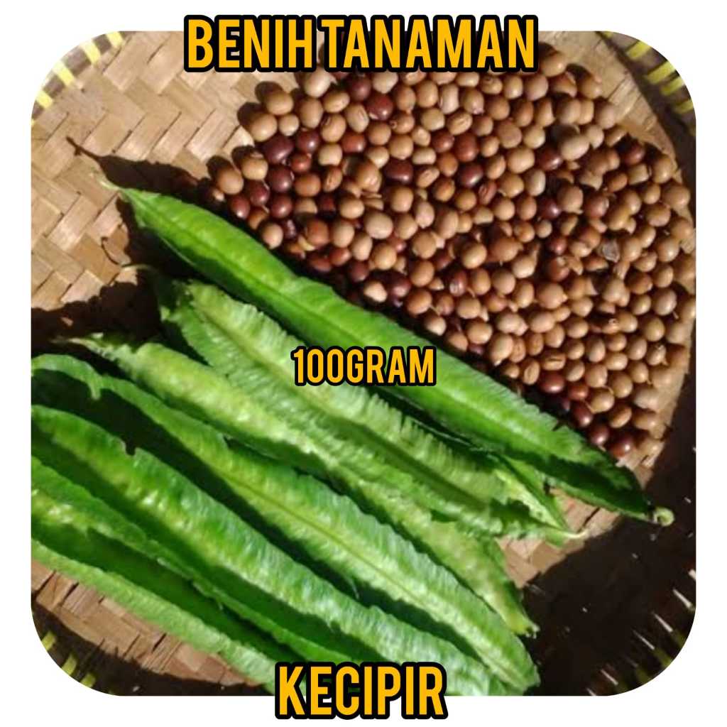Benih Kecipir / Jaat 100 Gram