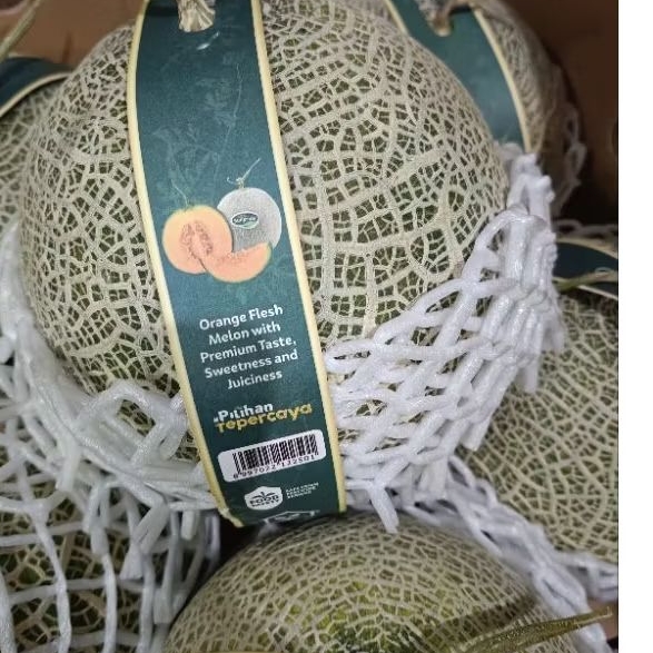 

Buah Rock Melon/ Sunpride/swety/Fujisawa premium