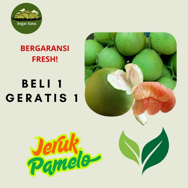 

PROMO (LIVE) Jeruk Pamelo Asli Muria *BELI 1 Gratis 1* 700-800gram
