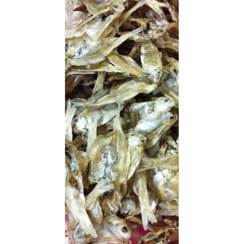 

IkanKapasan88 100Gram