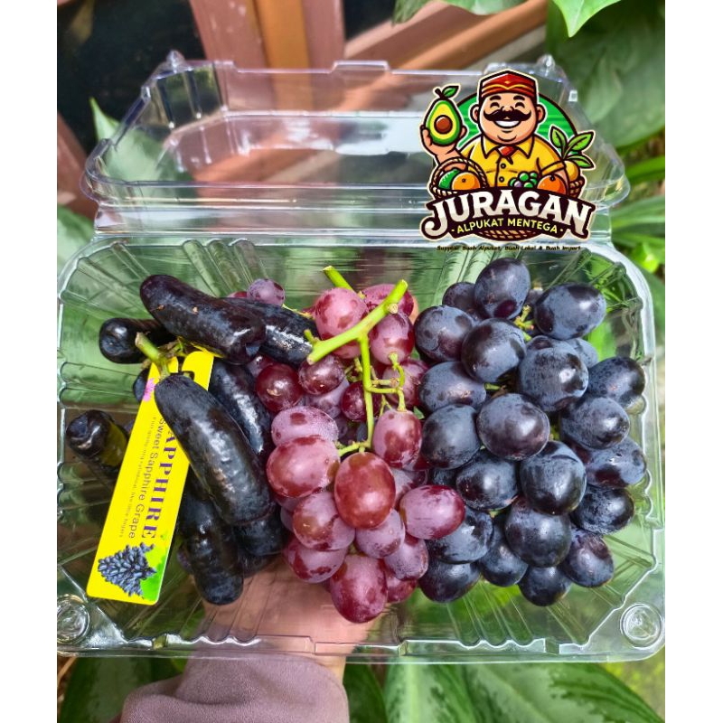 

Mix Grapes Seedless Tanpa Biji by Juragan