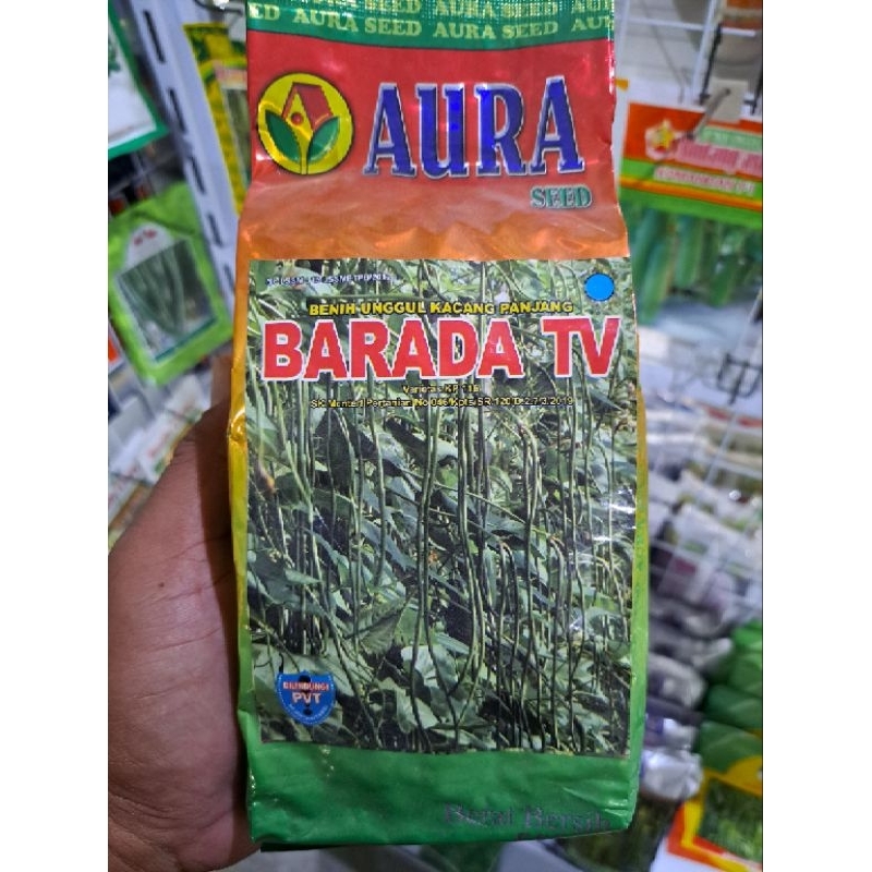 Benih Kacang Panjang BARADA TV 500 Gr Produksi Aura Seed