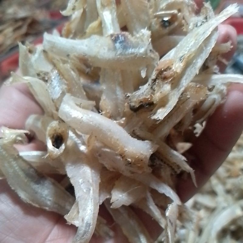 

Ikan teri belah daging medan