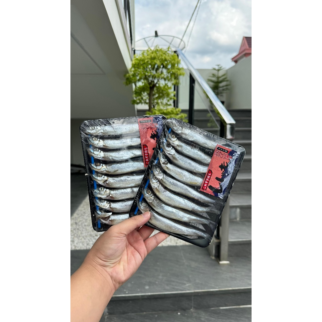 

Ikan Shisamo Fish / Ikan Capelin PREMIUM / Ikan Cipung