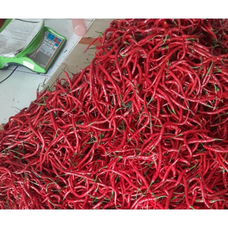 

Cabe Keriting Fresh 250 gr