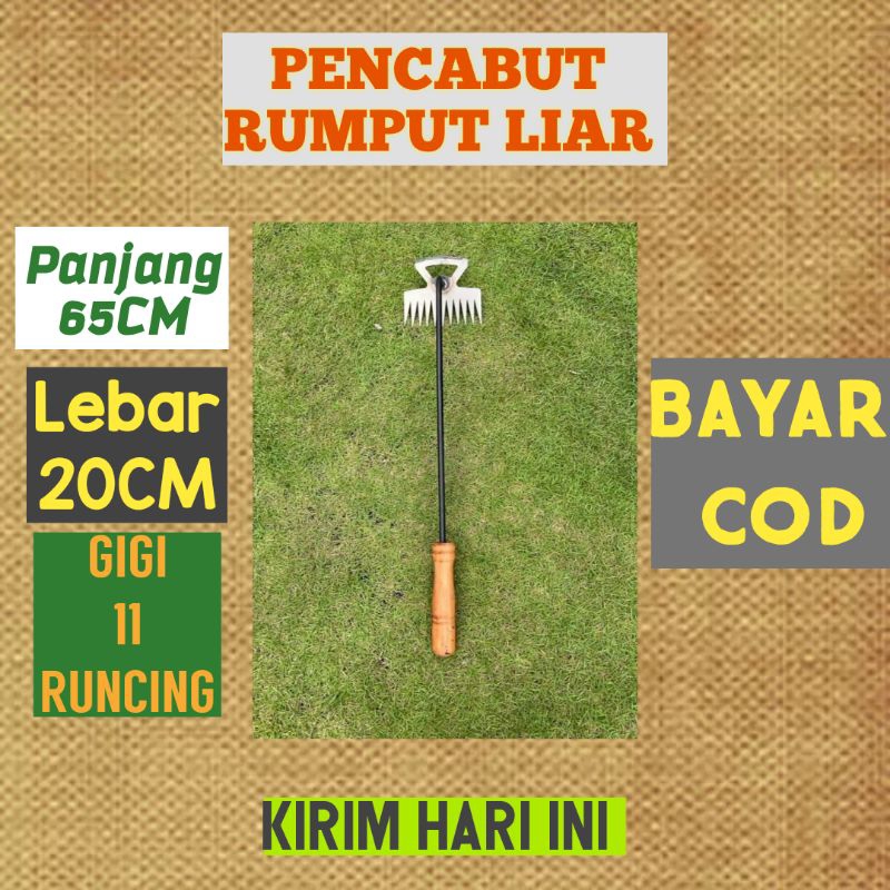 Alat Berkebun Alat Pencabut Rumput Liar Alat Penggaruk Rumput Liar