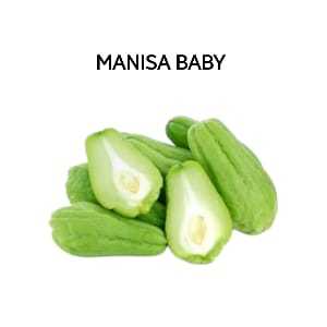 

Manisa Baby Segar Organik