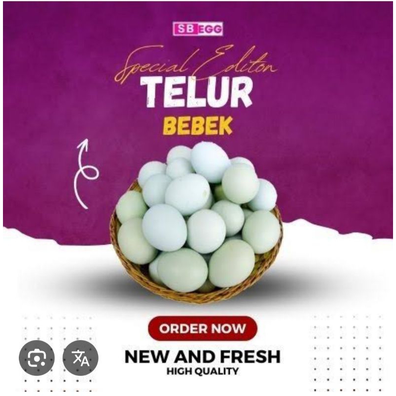 

TELUR BEBEK MENTAH PERBIJI