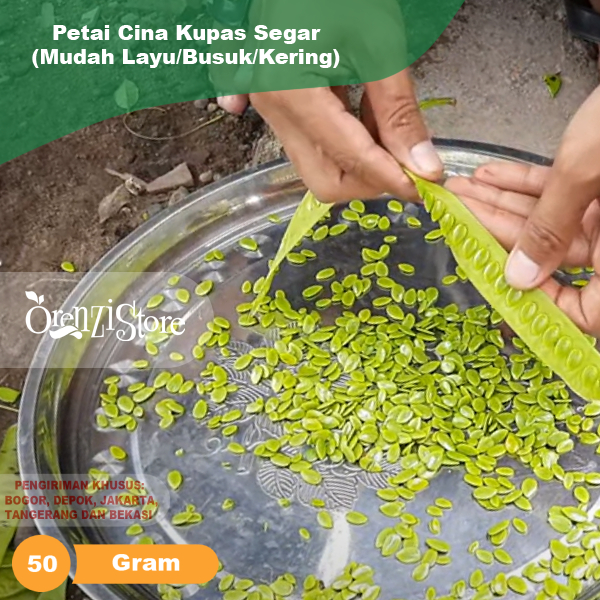 

Petai Cina Lamtoro Kupas Per 50 Gram
