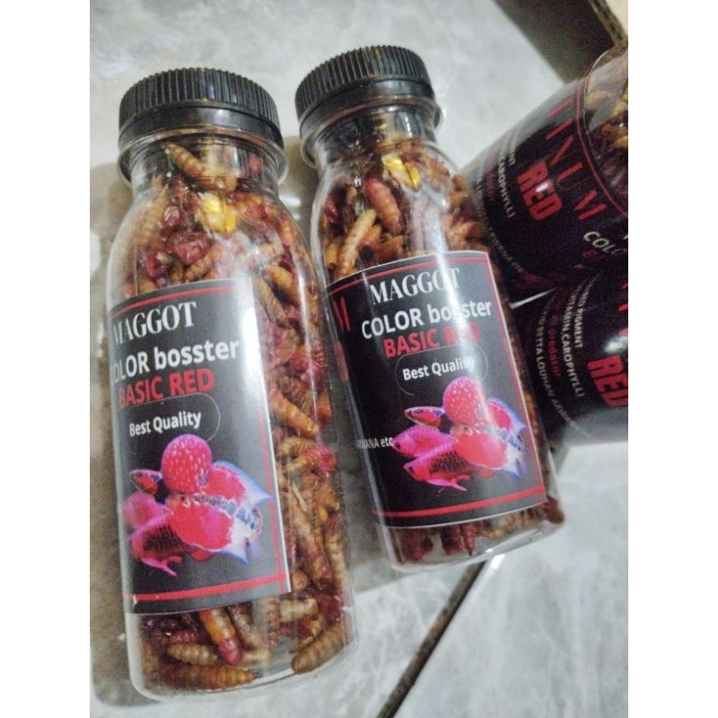 maggot collor booster,red,yellow,blue kemasan botol isi 100ml