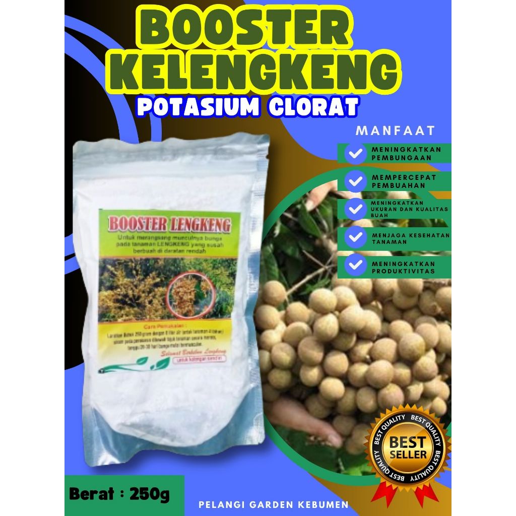 TERBAIK  Pupuk Buah Kelengkeng Potasium, Pupuk Buah Kelengkeng Pingpong, Pupuk Buah Kelengkeng Pingp