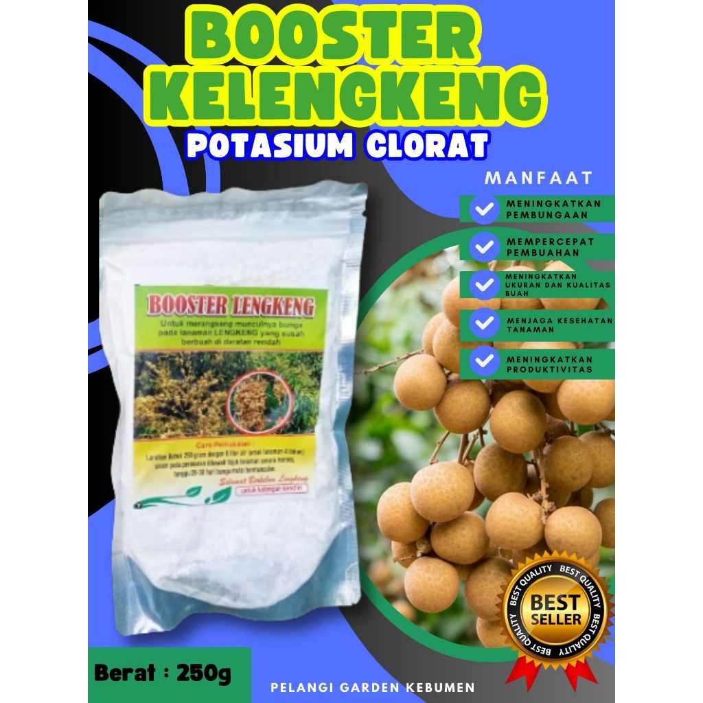 TERLARIS  Pupuk Buah Kelengkeng Lokal, Pupuk Buah Kelengkeng Longan, Pupuk Buah Kelengkeng Murni